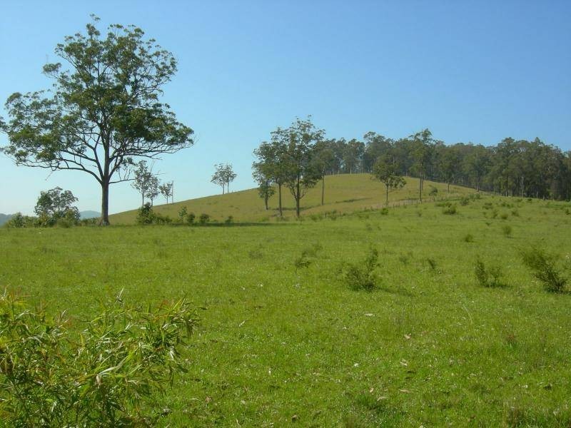 Bunyah NSW 2429