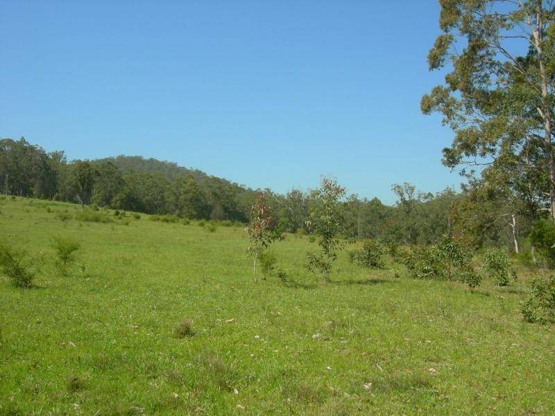 Bunyah NSW 2429