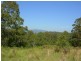 Bunyah NSW 2429
