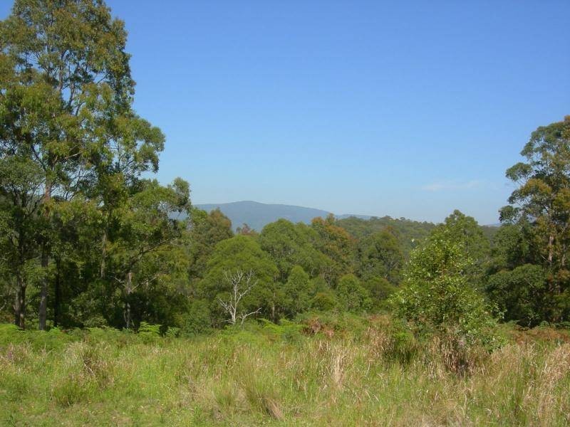 Bunyah NSW 2429