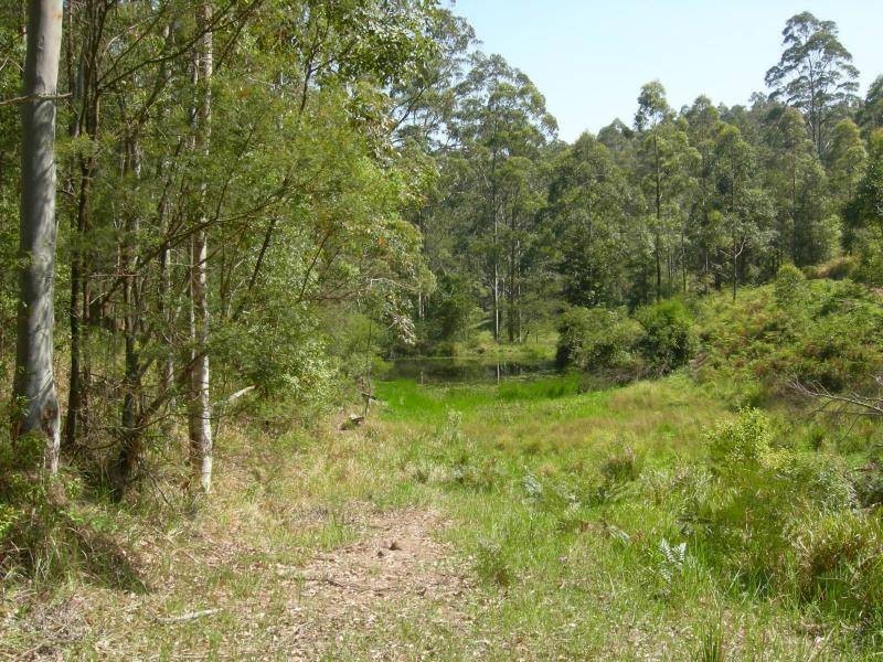 Bunyah NSW 2429