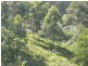Bunyah NSW 2429