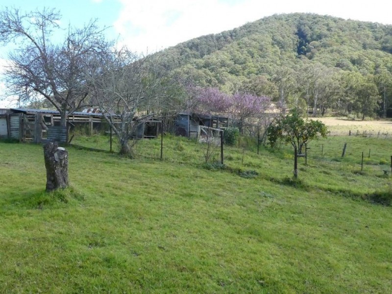 Mount George NSW 2424