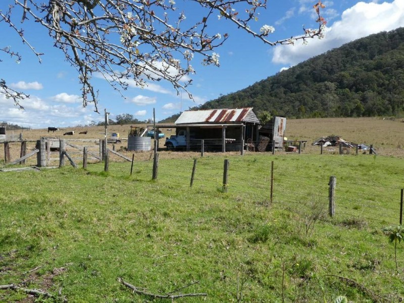 Mount George NSW 2424