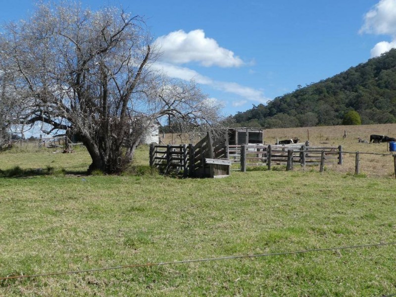 Mount George NSW 2424