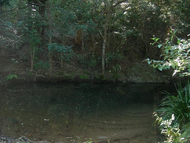 Kundibakh NSW 2429