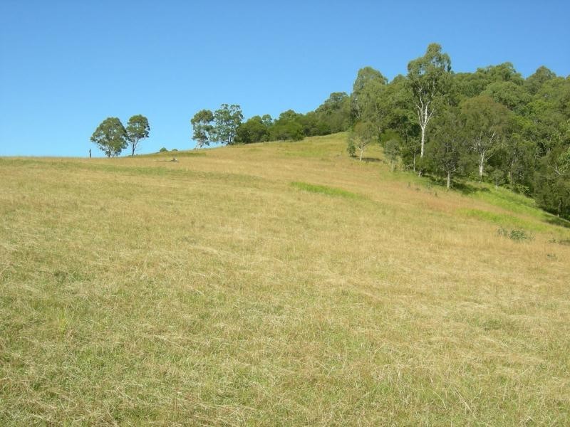 Kundibakh NSW 2429