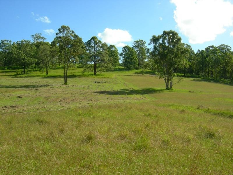 Kundibakh NSW 2429