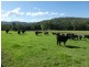 Kundibakh NSW 2429