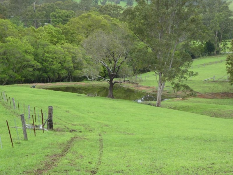 Kundibakh NSW 2429