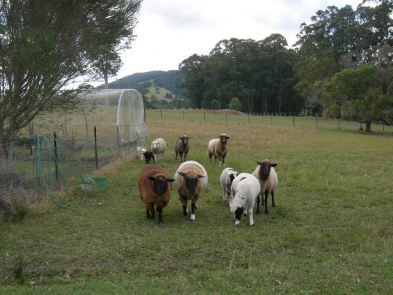 Dyers Crossing NSW 2429