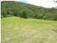 Krambach NSW 2429