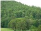 Krambach NSW 2429