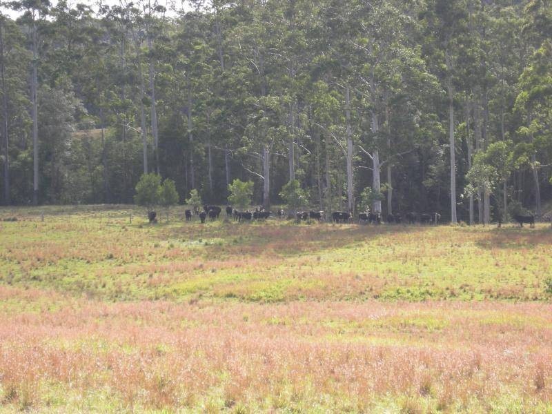 Coolongolook NSW 2423