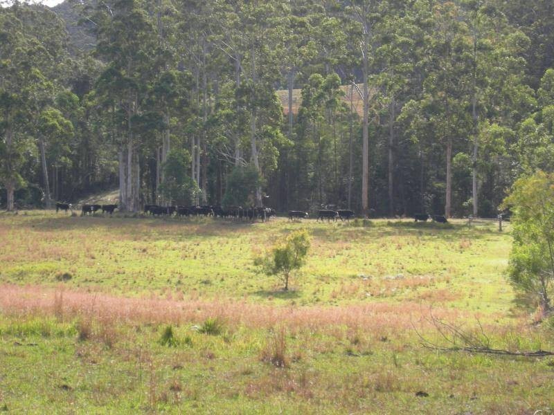 Coolongolook NSW 2423