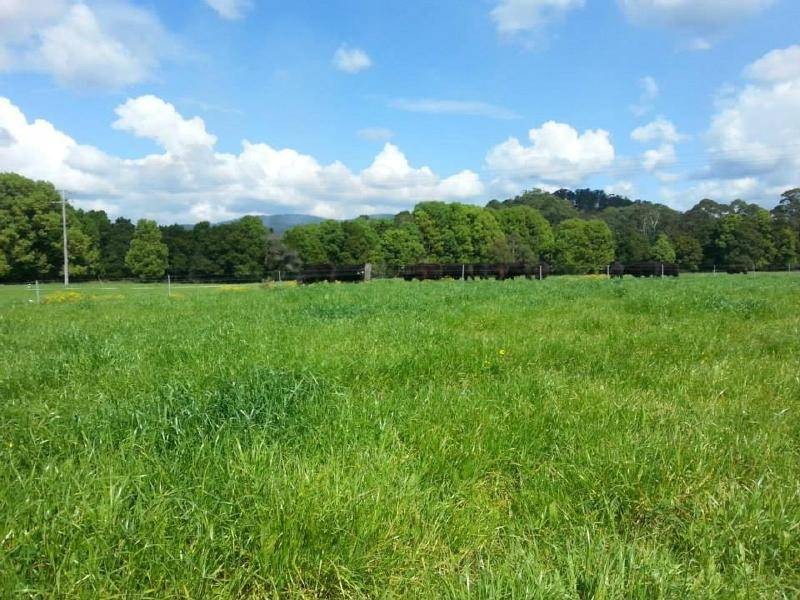 Coolongolook NSW 2423