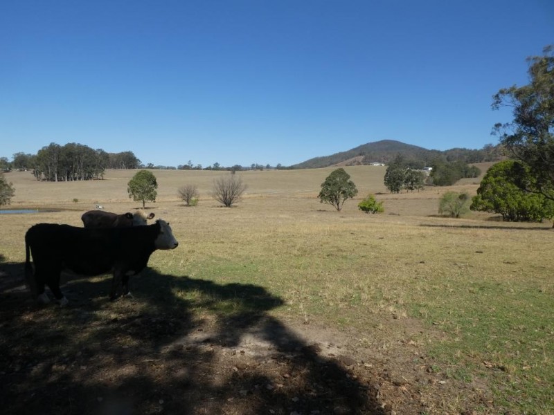 Burrell Creek NSW 2429