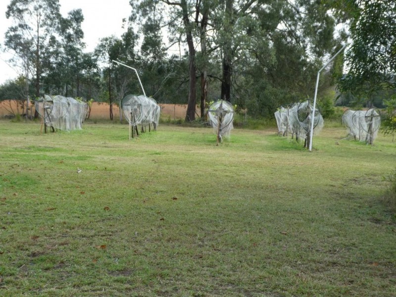 Nabiac NSW 2312