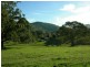 Krambach NSW 2429