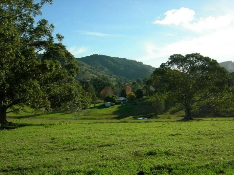 Krambach NSW 2429