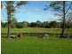 Krambach NSW 2429