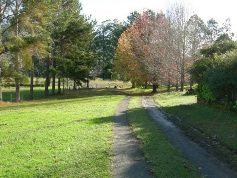 Krambach NSW 2429