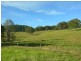 Krambach NSW 2429