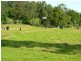 Krambach NSW 2429