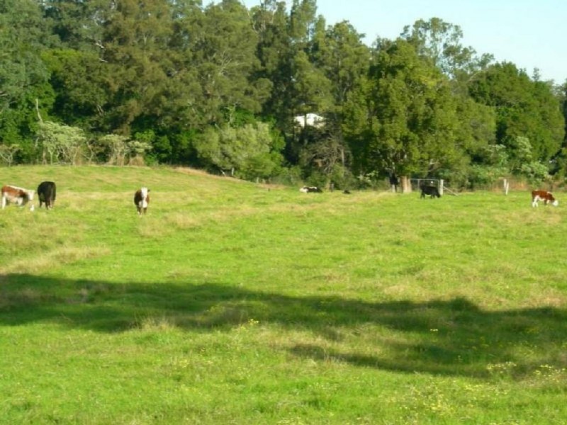 Krambach NSW 2429