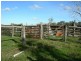 Krambach NSW 2429