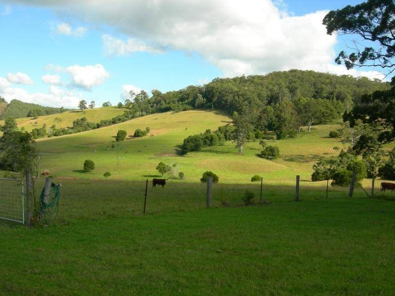 Possum Brush NSW 2430