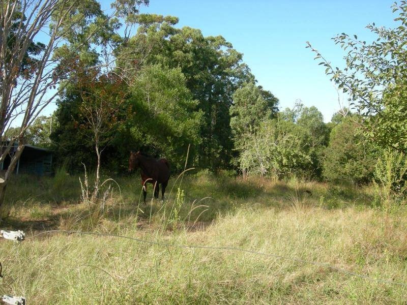 Minimbah NSW 2312
