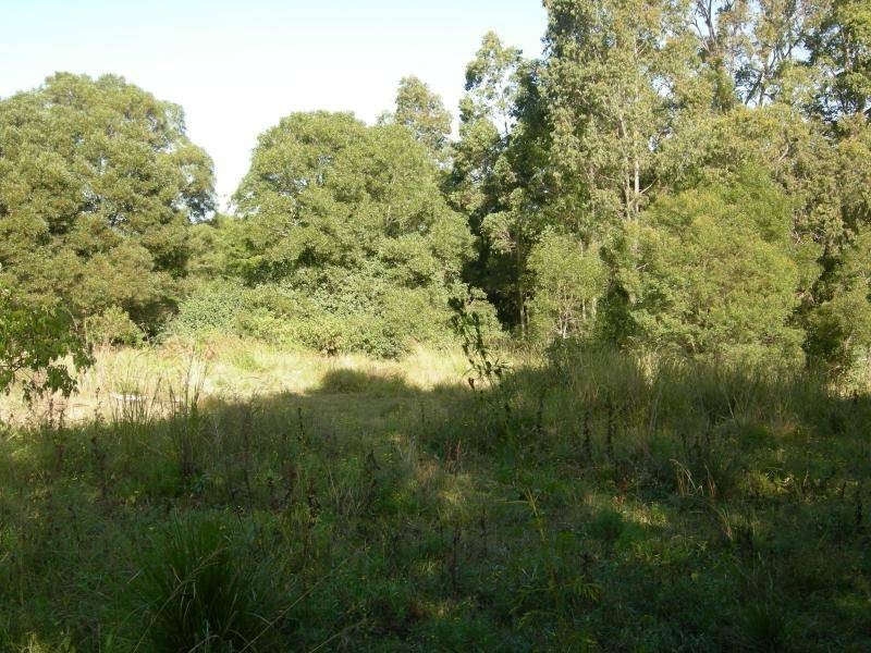 Minimbah NSW 2312