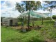 Dyers Crossing NSW 2429