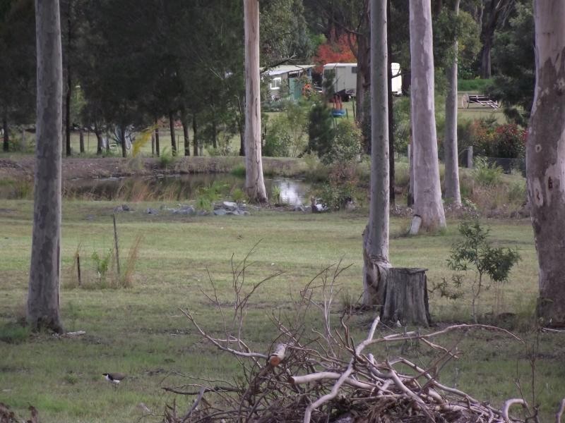 Minimbah NSW 2312