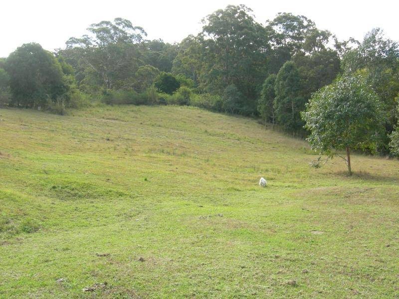 Mount George NSW 2424