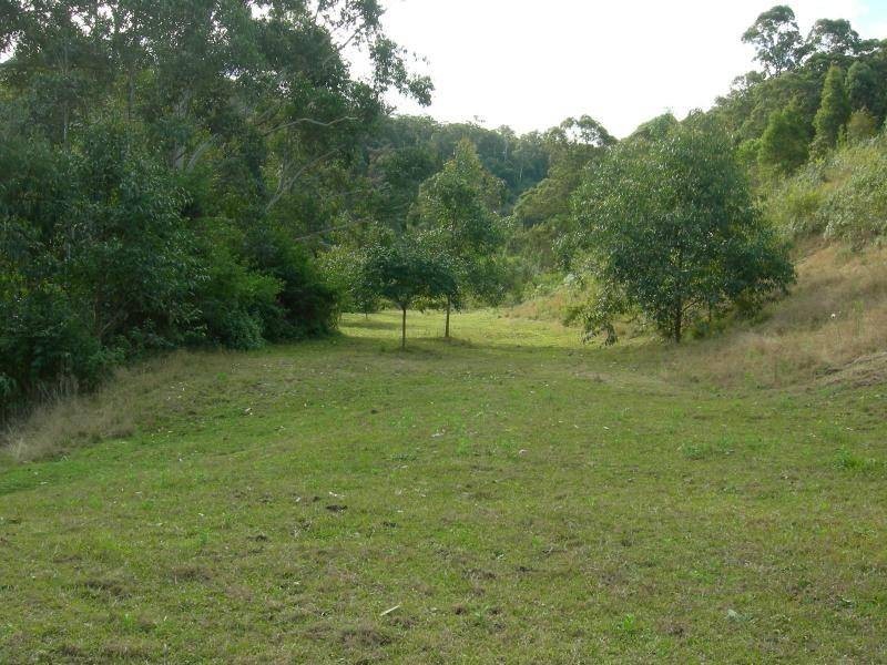 Mount George NSW 2424