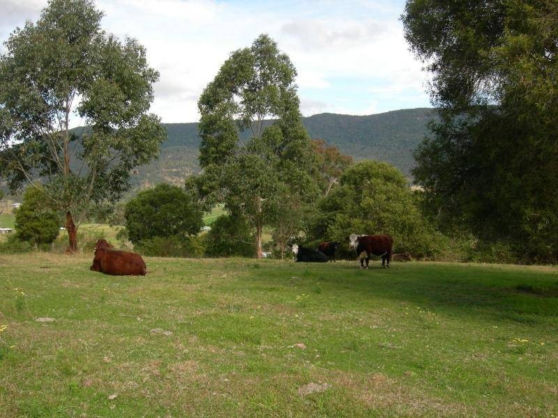 Mount George NSW 2424