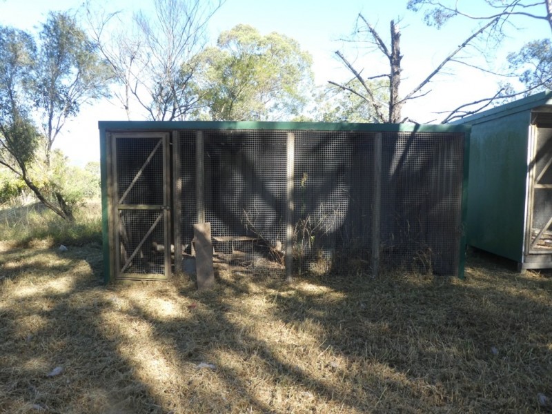 Minimbah NSW 2312
