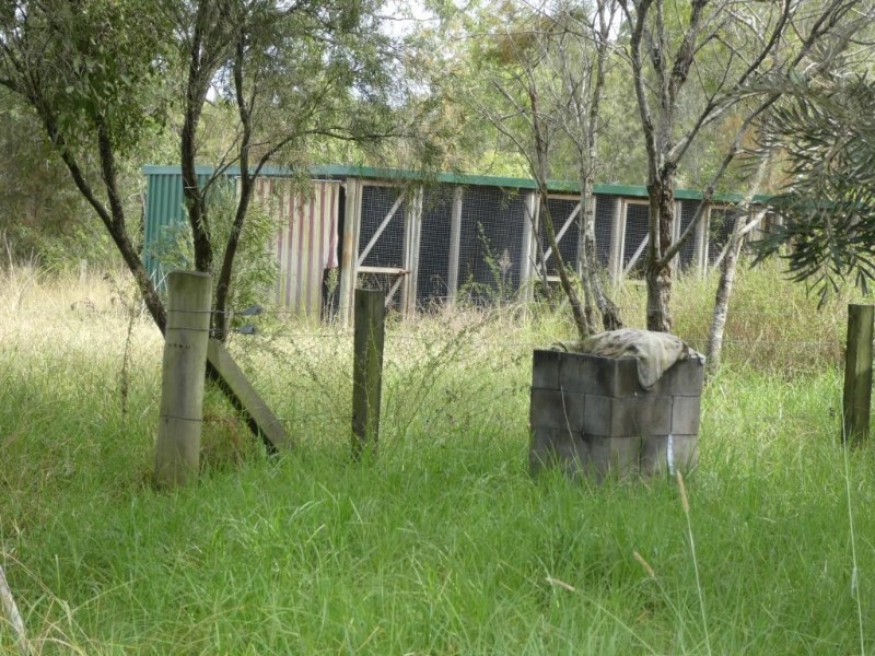 Minimbah NSW 2312