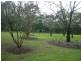 Nabiac NSW 2312
