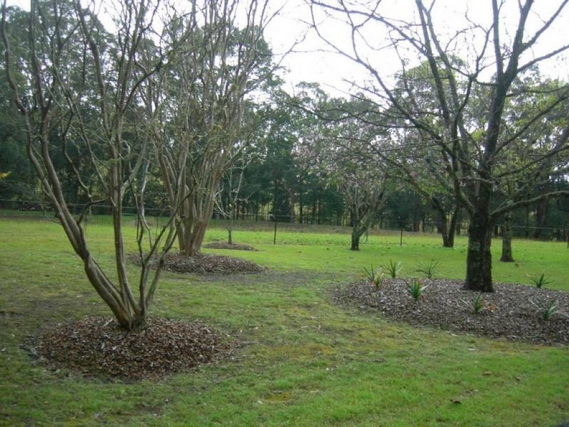 Nabiac NSW 2312