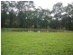 Nabiac NSW 2312