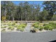 Nabiac NSW 2312