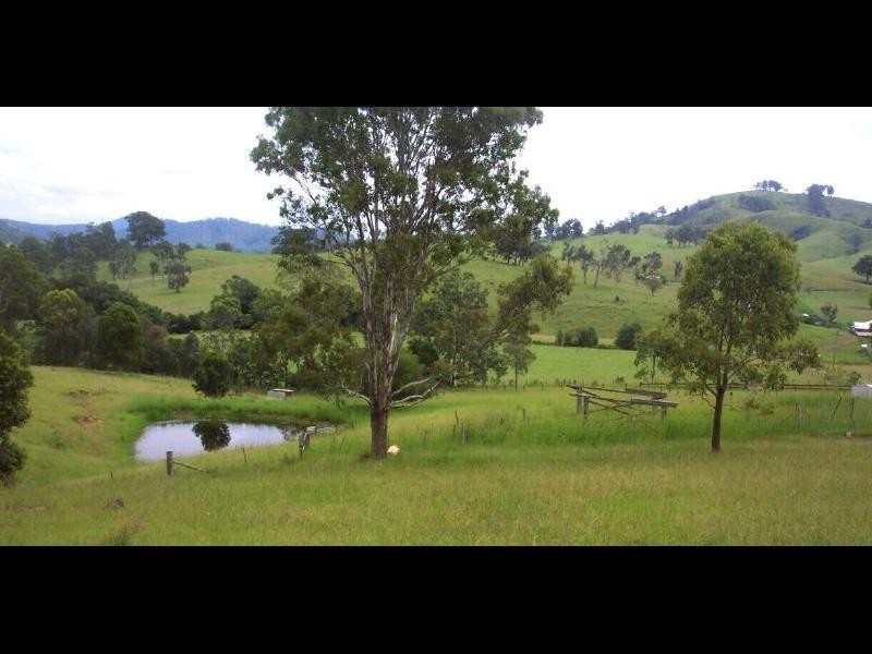 Kundibakh NSW 2429