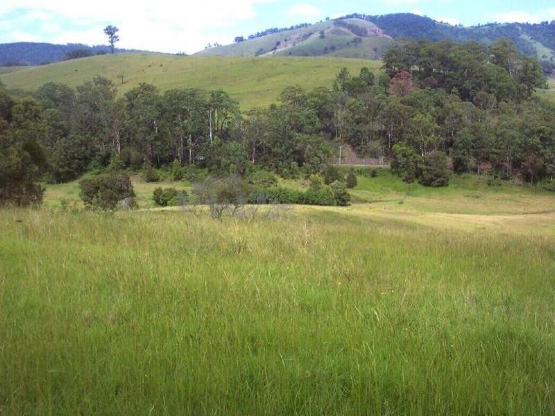 Kundibakh NSW 2429