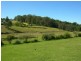 Krambach NSW 2429
