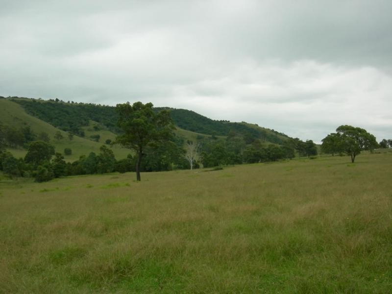 Wang Wauk NSW 2423