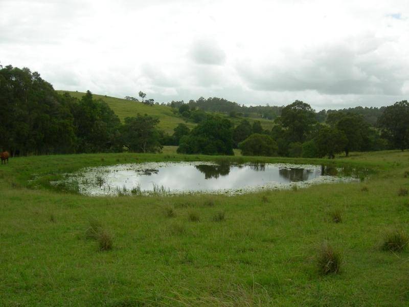 Wang Wauk NSW 2423