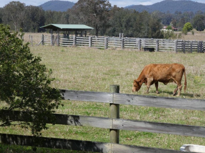 Coolongolook NSW 2423